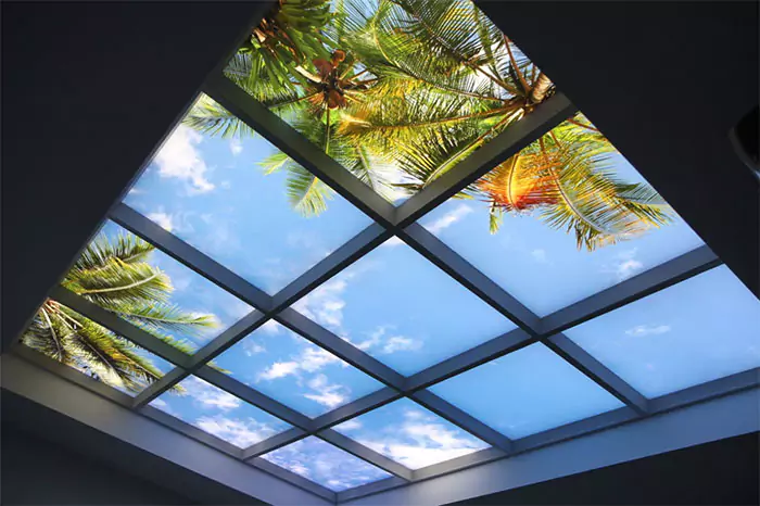 roof-window-screen